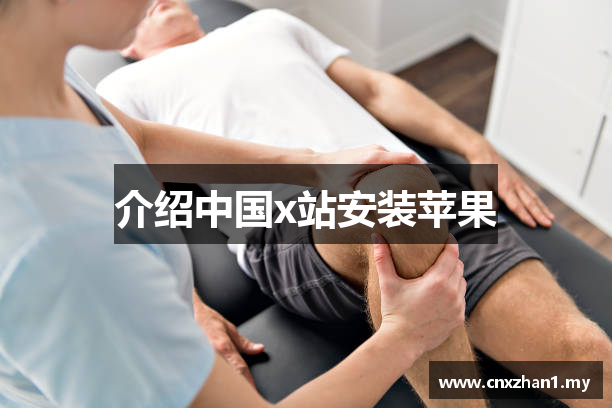 介绍中国x站安装苹果